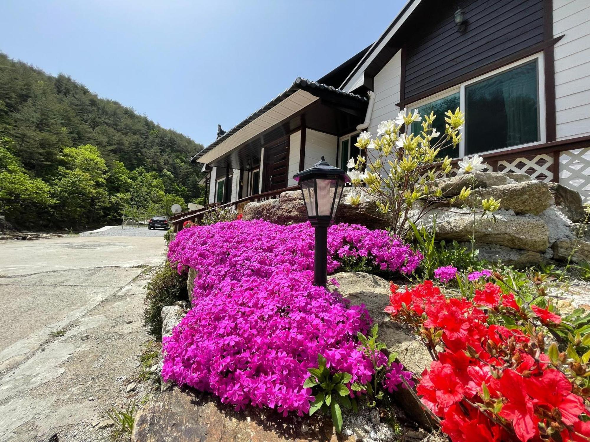 Yangyang Dalpaengi Pension Exterior foto